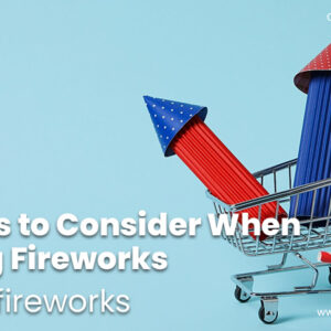 Factors to Consider When Buying Fireworks – Rocket Fireworks